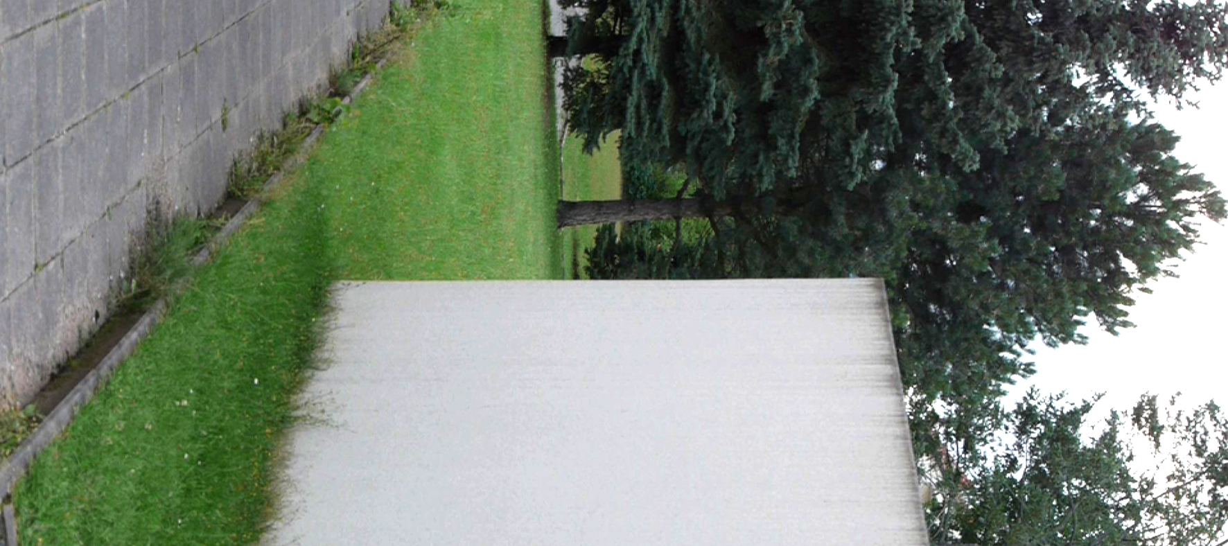 Tiefenschaerfe Still